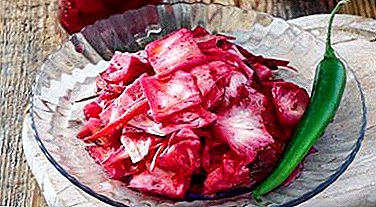Beiets সঙ্গে এবং Guri- শৈলী মধ্যে Pickled বাঁধাকপি জন্য সবচেয়ে সুস্বাদু রেসিপি
