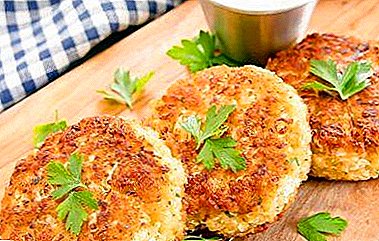 Recipes for most cooking for cooking cauliflower cutlets with photo service