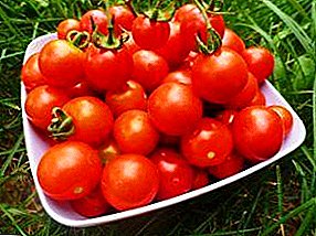 Awọn asiri ti imọ-ẹrọ fun dagba tete tete awọn tomati