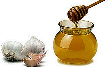 Tevlîheviya "sed sed nexweşan" li ser garlicê bi honey-xwarinên bi lemon û materyalên din, li ser tedbîrên barkirina