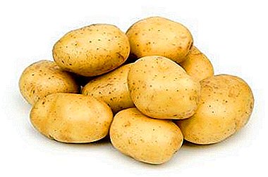 Destervasi rasa sareng manfaat - tiasa nyimpen kentang atah, digodog goreng dina fridge?