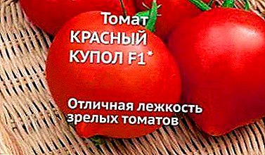 მრავალფეროვანი პომიდორი შესაფერისი რუსეთისთვის - აღწერა ჰიბრიდული ტომატის "წითელი გუმბათი"