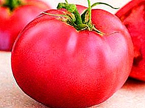 Mkpụrụ tomato dị iche iche "Demidov": nkọwa na àgwà nke tomato