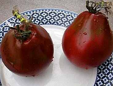 Tomat varyete Japonè Nwa trufe - yon tomat ak yon bon repitasyon pou gaz lakòz efè tèmik ou