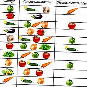 سازگاری محصولات: آیا می توان خیار و گوجه فرنگی و فلفل را در همان گلخانه ای بکارید؟