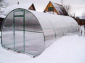 Paghimo sa usa ka greenhouse greenhouse gikan sa polycarbonate uban sa pagpainit uban sa imong kaugalingon nga mga kamot: ang mga nuances sa pagtukod ug pagpainit