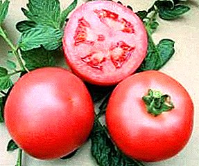 Oge etiti oge na tomato "Pink King" - nkọwa nke ụdị dịgasị iche na njirimara