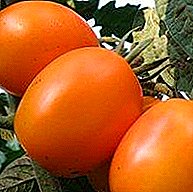 Atijọ, ṣafihan, o le sọ awọn orisirisi awọn tomati ti o yatọ ju "De Barao Orange"