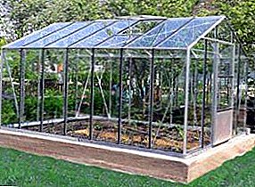 Damel greenhouses kanthi aluminium lan kaca