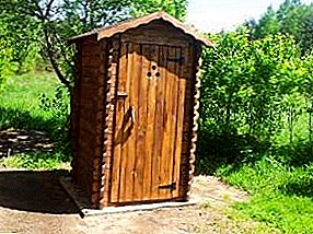Изградба на дрвен тоалет во земјата со свои раце
