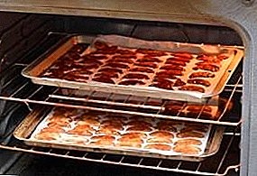 Drying apel dina oven gas for teu usum: aturan, tips, resep