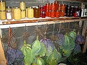 Verduras frescas ata a primavera: como almacenar repolo no soto para o inverno, no garaxe, caixón e soto?