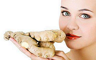 Свеж, сушен и кисела ѓумбир: што е добро за жените, како се користи за лекување и козметологија?