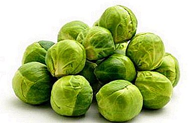 Mga katukoran sa Brussels sprouts - benepisyo, kadaut, nutritional value