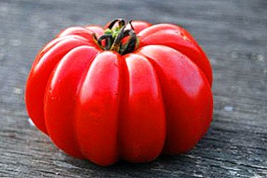 Sorpresa mundial de tomates - descrición das características da variedade de tomate "Cesta de Mushroom Bast"