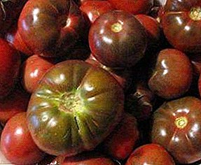 Dark-fruit tomat "Paul Robson" - rahasia budidoyo, deskripsi macem-macem