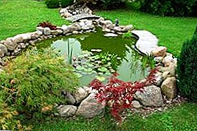 Чести грешки кога се создава езерце во градината