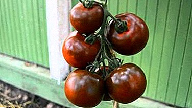 Tomat "Kumato": deskripsyon varyete de tomat nwa, rekòmandasyon pou ap grandi