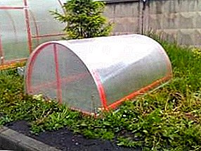 Sayon ug praktikal nga greenhouse nga "Breadbox"