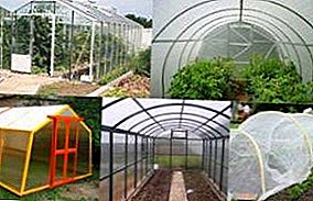 Abun rufe kayan don greenhouse: wanda shine mafi kyau gilashi, fim ko polycarbonate