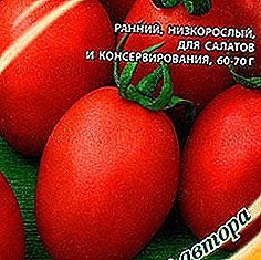 Universal erkən pomidor "Bal Krem" bahçıvanı ləzzətli pomidorların gözəl bir məhsulu ilə sevindirəcəkdir