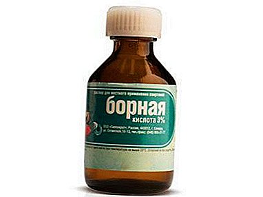 Dhibaatada Universal - boric acid: codsiga beerta loogu talagalay yaanyada, dhirta beerta iyo dhirta gudaha