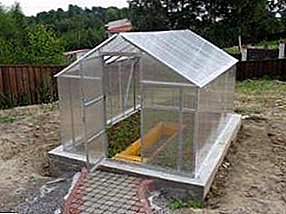Polycarbonate greenhouse building: do-it-yourself greenhouse foundation