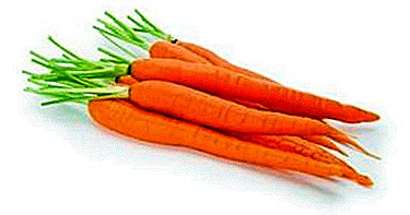 ແມ່ນຫຍັງຄືຜົນປະໂຫຍດແລະ carrots ອັນຕະລາຍສໍາລັບຜູ້ຊາຍ? ມັນຊ່ວຍປັບປຸງຄວາມສາມາດແລະມີໂລກພະຍາດໄດ້ບໍ?