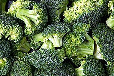Họrọ ụdị kabeeji broccoli dị iche iche - isi iyi nke vitamin na tebụl gị