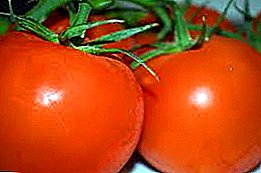 Anyị na-eto ezigbo mkpụrụ. Tomato "Russian troika": atụmatụ nke dịgasị iche iche