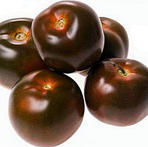 Re hōlisa tomate ea bohlokoa "Viagra": tlhaloso ea mefuta-futa le setšoantšo