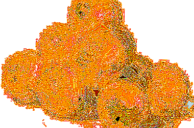 ಚೆರ್ರಿ ಟೊಮೆಟೊಗಳ ಆರಂಭಿಕ ಮಾಗಿದ ದರ್ಜೆಯ ಕೃಷಿ - ಹಳದಿ ಚೆರ್ರಿ ಟೊಮೆಟೊ