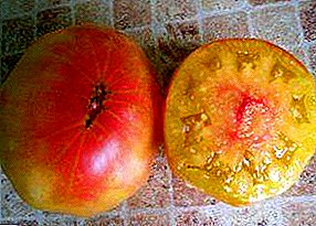 Mkpụrụ dị ukwuu sitere n'aka ndị na-azụlite Siber - ụdị tomato "Mystery of Nature"