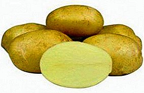 Varietas varietas kentang "Jelly": deskripsi, karakteristik lan foto