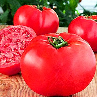 Ukusni i sjajan paradajz "Raspberry Giant": opis sorte, uzgoj, fotografija paradajza