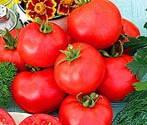 Tomatos blasus gydag enw prydferth - tomatos "Rhodd Menyw": disgrifiad o'r amrywiaeth, llun