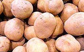 Delicious a fruchtbar Kartoffel "Lugovskoy": Beschreiwung vun der Varietéit an de Fotoen
