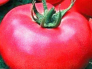 Preferuar Delicious e fermerëve dhe turshi domate "Crimson Viscount"
