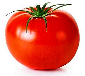 Delicioso tomate para os amantes da froita con acidez - descrición da variedade híbrida de tomate "Amor"