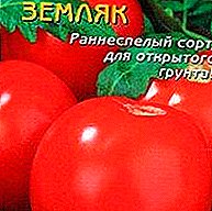 Awọn ifura ti o dùn lati Siberia - tomati "Latinman": awọn abuda kan, apejuwe awọn orisirisi oriṣiriṣi ati awọn fọto wọn