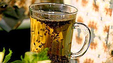 Sedhep lan sehat - sifat medicinal saka teh karo adas, aturan kanggo preparation lan reception