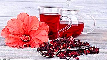 Mahafinaritra, mahasoa, mahasoa. Ny momba ny hibiscus tea