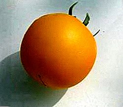 Bahoringizdagi mazali quyosh - pomidor "sariq balli": turli xil ta'riflar, o'sishda tavsiya