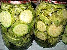 Ang tanan mahitungod sa pickled zucchini: mga benepisyo ug komposisyon, mga resipe sa pagluto, mga bahin sa paghipos