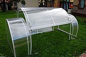 Lahat ng kasiyahan tungkol sa hardin polycarbonate greenhouses