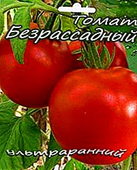 Nós nos esquecemos de mudas cunha variedade de tomate "Bezrassadny": descrición dos tomates, especialmente o crecemento