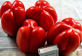 Misteryosong bitoon sa imong tanaman - lainlaing tomato nga "Etoile"