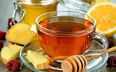 Primamljiv način da izgubite težinu je zeleni čaj sa đumbirom. Dodavanje limuna i meda je dobrodošlo!