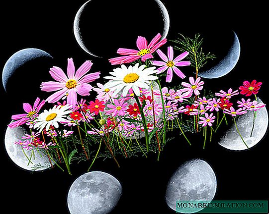 🌷 Lunar nga kalendaryo sa grower alang sa Marso 2020