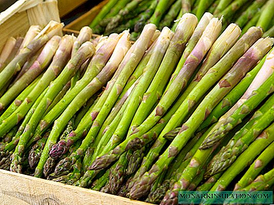 Asparagus: ituaiga, tausiga ile